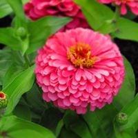 photo of Kimberly L.