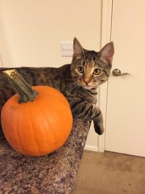 photo of Courtney M.