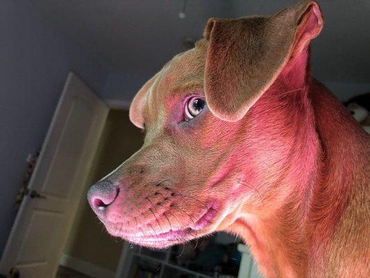 photo of Kimberly M.