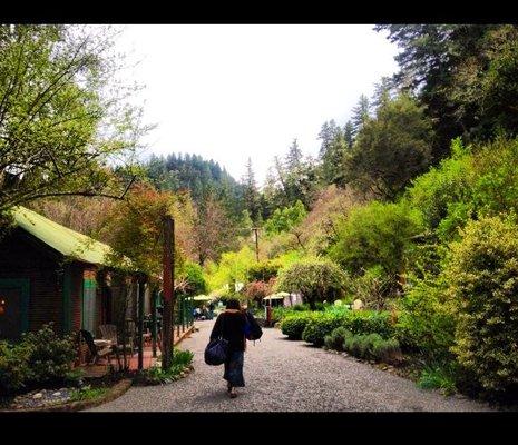 photo of Virginia B.