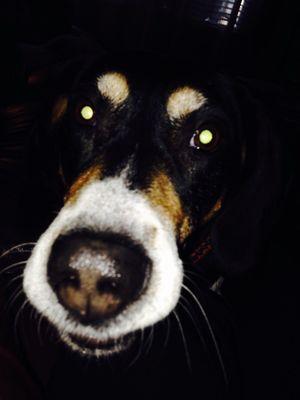 photo of Jennifer H.