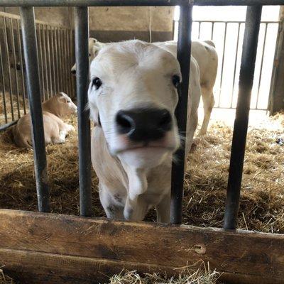 photo of Christine S.