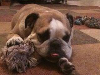 Photo of Lori Lee G.