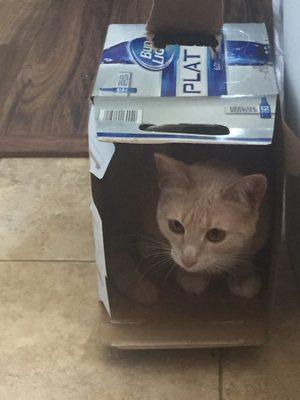 photo of Katherine H.