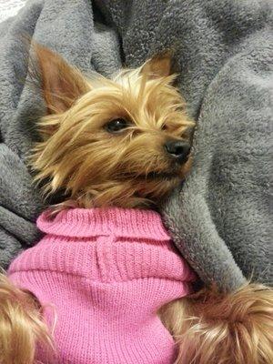 photo of Annelyse N.