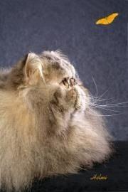 Photo of Sue G.
