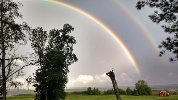 Photo of Rainbow C.