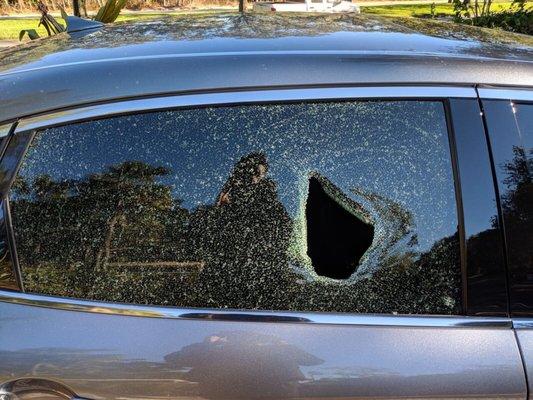 photo of Christie M.