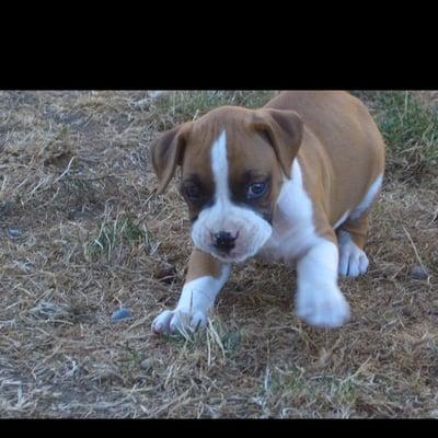 photo of Michelle G.