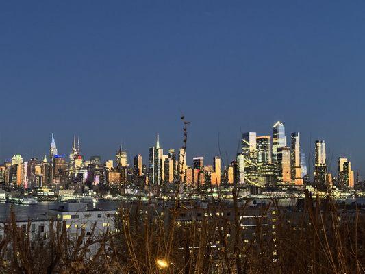 photo of carolina m.