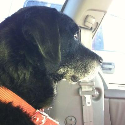 photo of Christina C.