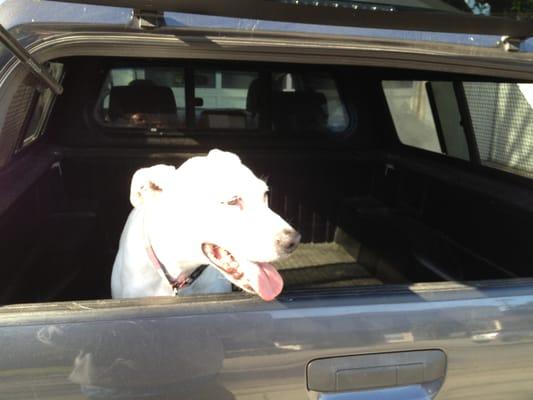 photo of Mary Lou B.