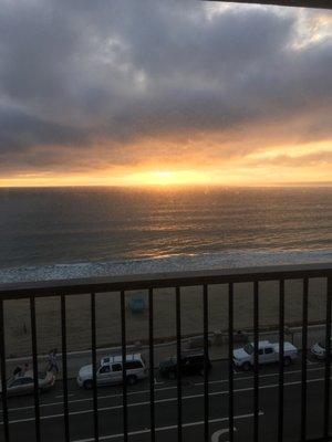 photo of Honeybee B.