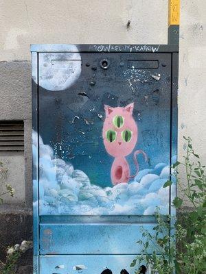 photo of Danielle M.