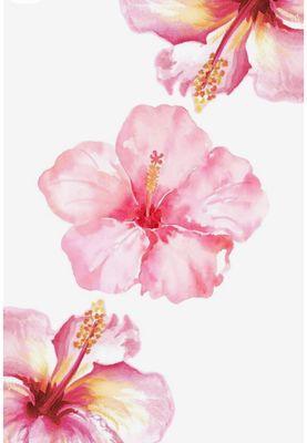 photo of Gabriella M.