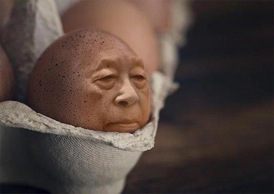 Photo of Yes Y.