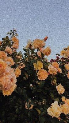 Photo of Elizabeth N.