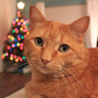 photo of Carolina D.