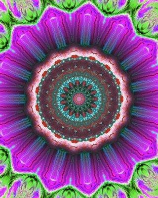 photo of Samantha M.