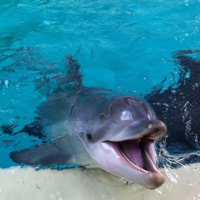 Photo of Jennifer O.