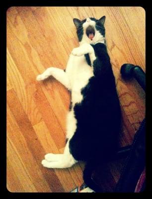 photo of Scarlett S.