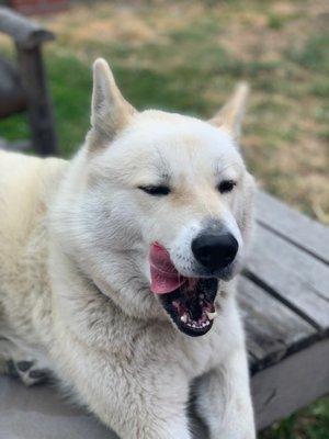 photo of Gabriela P.