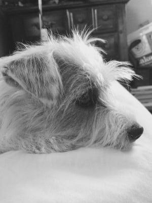 Photo of Susie M.