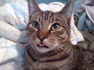 photo of Emmanuel N.