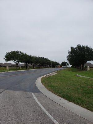 photo of Rene B.
