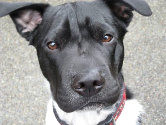 photo of Christopher P.