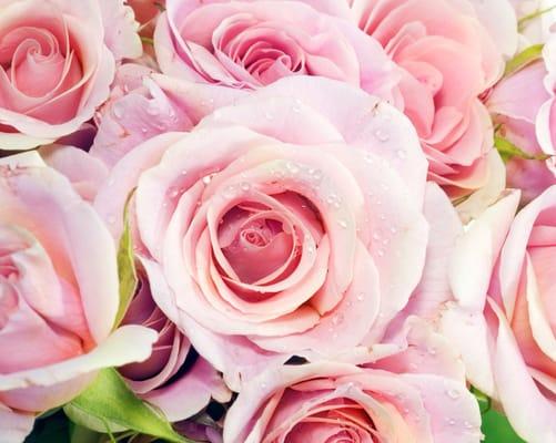 photo of Brittany R.