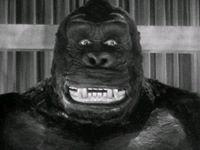 Photo of Pete M.