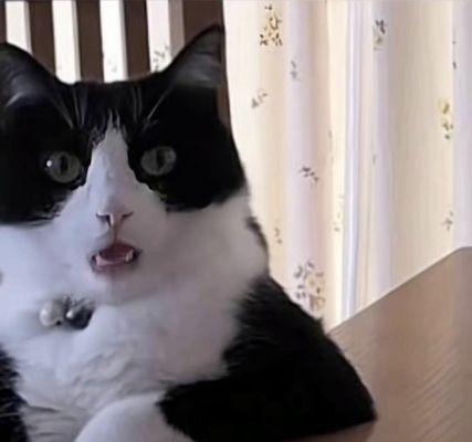 photo of Aquarius P.