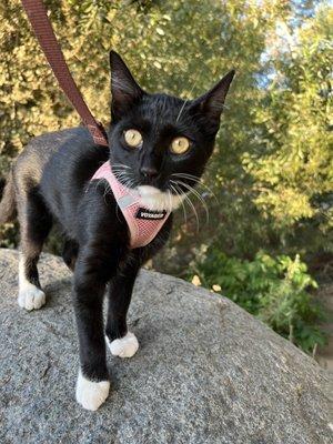 photo of Anastasia D.