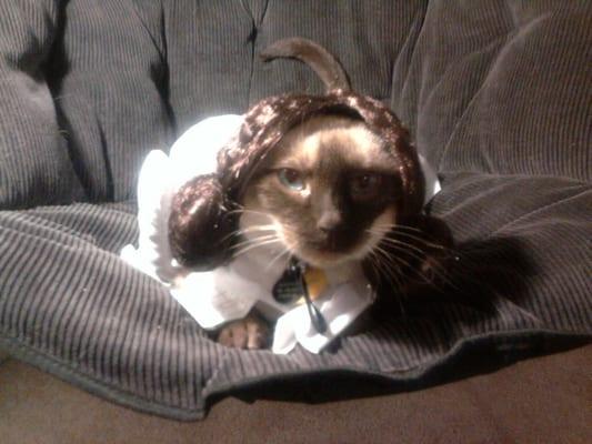 photo of Temperance M.