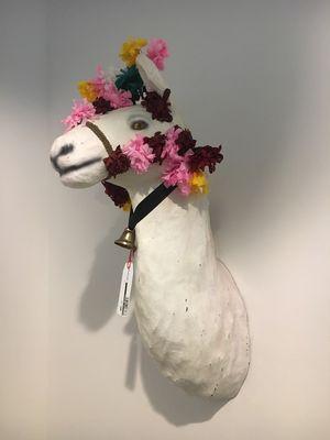 Photo of Alejandro A.