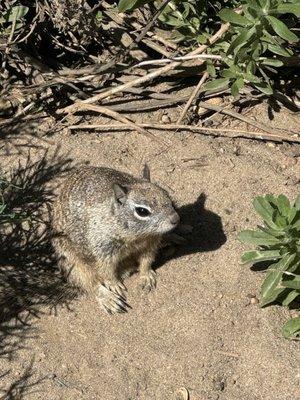 photo of Gabriella P.