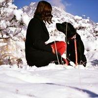 Photo of Christina O.