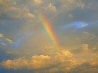 Photo of Christen N.