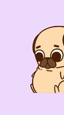 photo of LisaMarie B.