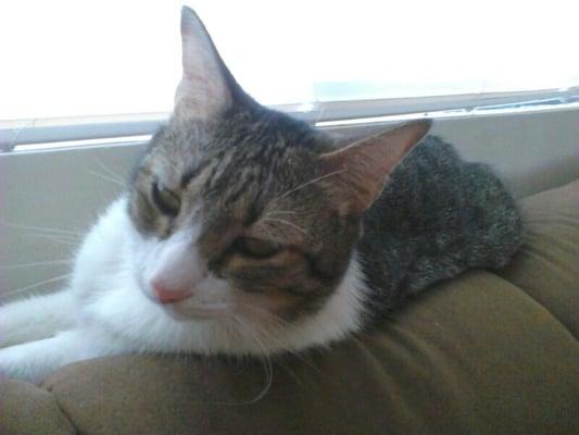 photo of Elizabeth L.