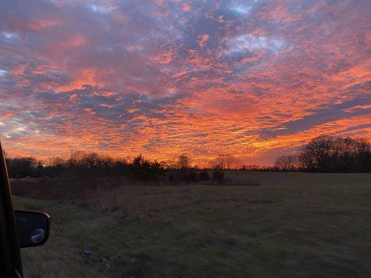 photo of Elizabeth P.