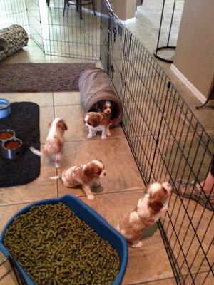 photo of Victoria O.