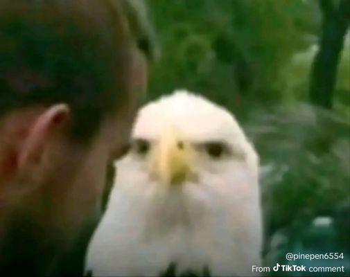 photo of Kimberly R.