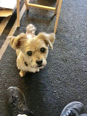 photo of Ronnie A T.