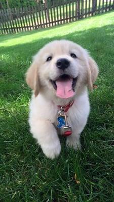 photo of Francis Roy B.