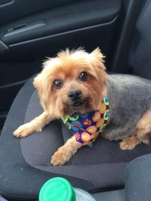 photo of Bernadette R.