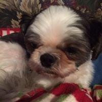 Photo of Barb K.
