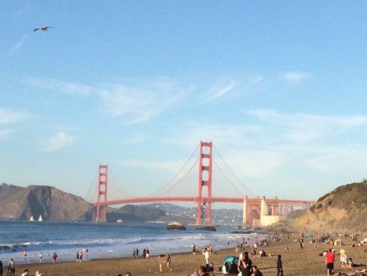 photo of Violetta K.