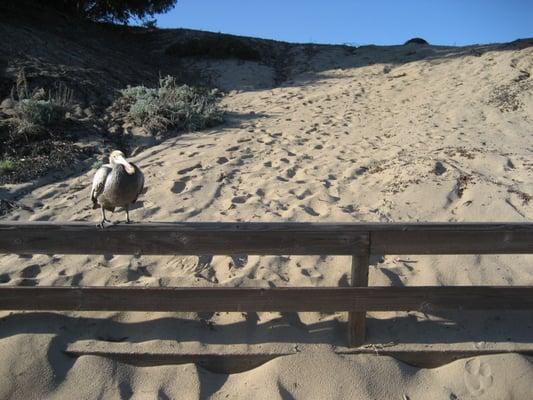 photo of Jennifer M.